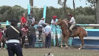 GRAN JINETEADA  DE TORO