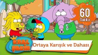 Ortaya Karışık ve Dahası - Kral Şakir