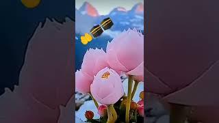 Muhammad bin Syed ul kavvali vastav ##islamicstatus #youtuber