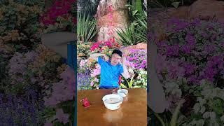 Shenzhen Lianhuashan Park Adventure Cultural Tourism Shenzhen Shenzhen Summer Surprise DOU Assis