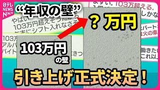 【まとめ】『103万円の壁引き上げ正式決定』年収の壁って？誰でも分かる年収の壁解説 /「106万円の壁」見直しならどうなる？ #手取り は？ #年金 は…？ ──（日テレNEWS LIVE）