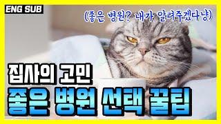 좋은 동물병원의 선택기준은? 좋은 동물병원 선택 요령