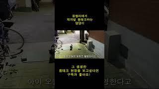 청량리에서 재개발 몸테크하는 댕댕이 4  #shorts