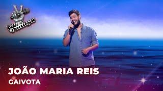 João Maria Reis | “Gaivota” | Blind Auditions | The Voice Portugal 2023