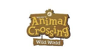 Animal Crossing: Wild World / City Folk - 2am / 02:00 (1 Hour Extended)