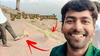 कुत्तों के साथ prank || vlogs video || Arya Anish official