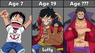 Straw Hat Pirates Evolution  - One Piece