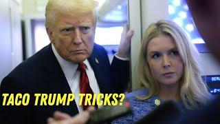 Former Trump Lawyer Nukes "Creepy Karoline" on Live TV!