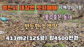 (S037)금호.대창IC예정지 9분!! 풍수 좋은동네 반듯한 소액땅!!  413㎡(125평)  합4500만원 영천땅매매 영천토지 영천부동산