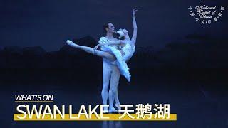 Swan Lake in Tianqiao Theater: “The Swan Lake Performance Tonight is Remarkable in the World!”