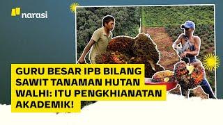 Guru Besar IPB Sebut Sawit Tanaman Hutan, Walhi: Pengkhianatan Akademik! | Narasi Daily