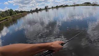 ワームより釣れる小型プラグの可能性【バス釣り】