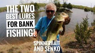 Two great lures for Bank fishing Spinnerbaits and Senkos