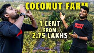 COCONUT FARM Cent from 2.75 Lakhs !! Coimbatore - பொள்ளாச்சி தோப்பு இளநீர் 