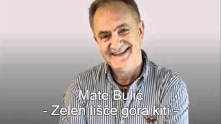 Mate Bulic - Zelen lisce goru kiti