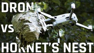 Drone vs Hornet's Nest - An Epic Battle