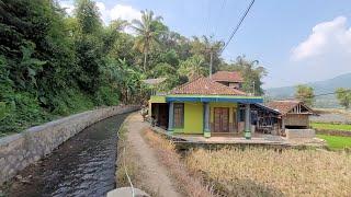 Bikin Takjub ‼️ Air Melimpah Di Kampung  Pinggir sungai, Suasana Damai Dan Tentram