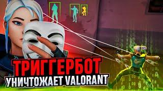 ЧИТЕРЫ С ТРИГГЕРБОТОМ УБИВАЮТ ВАЛОРАНТ / #valorant #валорант