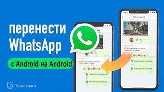 Как перенести WhatsApp с Android на Android [2 способа]