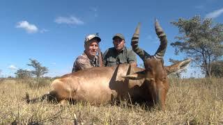 Anthony's Limpopo Adventure: Red Hartebeest Hunt