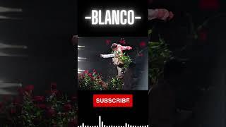 The Italian Singer Blanco Destroys The Sanremo Stage - #blanco #love #lyrics #music #song #sanremo