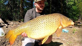 New England Carp Fishing: Sudbury River