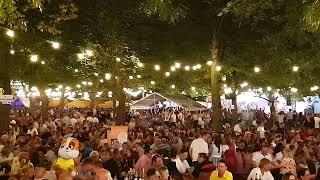 Volkach - das berühmte Weinfest in Unterfranken - eine gute Stimmung zum guten Wein