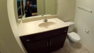 South Loop Chicago Apartments | Amli 900 | 1 Bedroom | Mod Layout | GoPro Tour