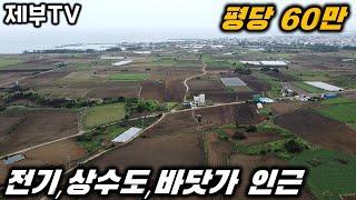 제주도 단독주택 부지 매매 세상에 이렇게 가성비가 좋은 땅이 있다니~건축하실분들 잘 보세요 제주도 부동산 매물,Jeju House for sale,Korea,제주도부동산TV