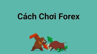 Chơi Forex là gì - Hướng dẫn cách chơi Forex cho người mới bắt đầu