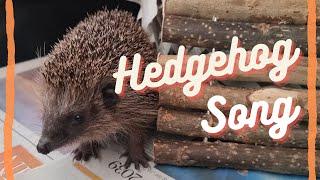 Hedgehog Song | Wildtier des Jahres 2024