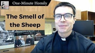 Jesuit Post's "The One-Minute Homily": Smell of the Sheep