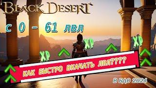 СЕКРЕТЫ БЫСТРОГО ПРОКАЧИВАНИЯ В БДО\BDO до 61 Уровня! Black Desert 2024.