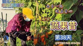 妞妞健康厨房  每日蔬果昔 第38天。食疗。健康。降三高。清除毒素。非药而愈。素食。每日一杯，健康身心。烹饪。（20241028）