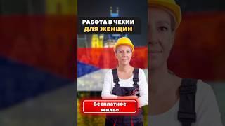 Работа в Чехии для женщин.   #работавчехии #работавчехиидляженщин #чехия #жизньвчехии #роботавчехії