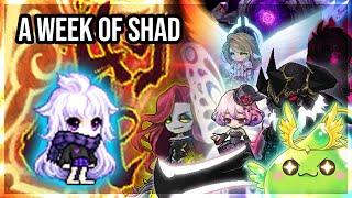 [GMS Reboot] A Typical Week of Shadower Bossing