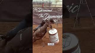 DC Derby Go 2 - #130 CALEB CLINE - FROM FAMOUS TO VEGAS - 2025 Diamond Classic