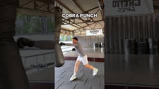 3 Powerful Advanced Boxing Tricks #boxing #tricks #boxer #bolo #cobra #gazelle