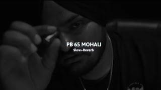 SIDHU MOOSEWALA - PB65 MOHALI (slowed+reverb) | Full song |