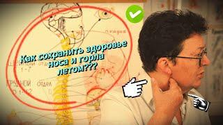 Как не иметь воспалительных заболеваний в носоглотке в летнее время???