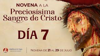 Novena a la Preciosísima Sangre de Cristo - Día 7   #novena