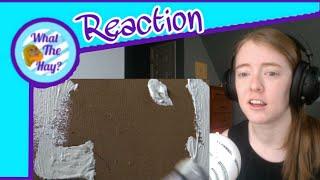 10 Hours of Paint Drying by MyAbridged (Reaction Video)