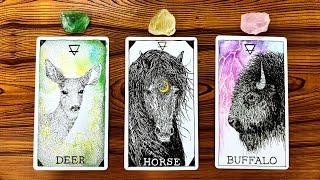 THE HONEST TRUTH ABOUT YOUR CURRENT SITUATION!  | Pick a Card Tarot Reading