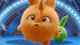 Videos For Kids | Sunny Bunnies - TURBO IN THE SPOTLIGHT | Funny Videos For Kids