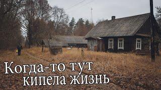 Беларусь . Заброшенная деревня в лесу. Тут можно жить.  Дикий край.  Поход