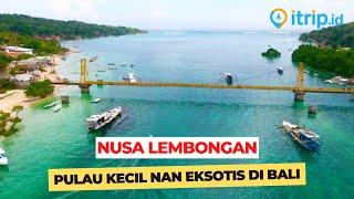 Nusa Lembongan - Spot Diving & Snorkeling Terbaik di Bali