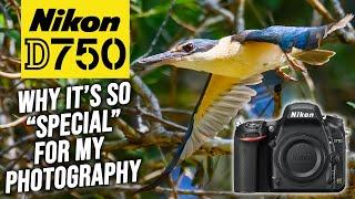 WHY The Nikon D750 Is So Special For My Photography