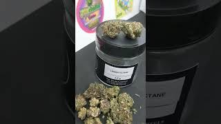 Hemp Cartel's  Lemon Octane & Orange  Diesel & GMO cookie cart