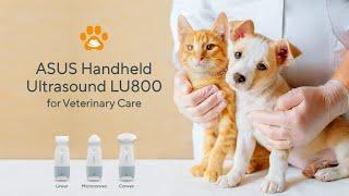 ASUS Handheld Ultrasound LU800 for Veterinary Care - Envisioning the Future of Veterinary Care