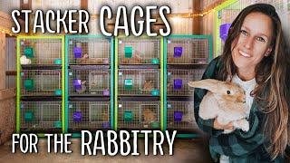 Creating STACKER CAGES for the Rabbitry | Creme d'Argent Meat Rabbits